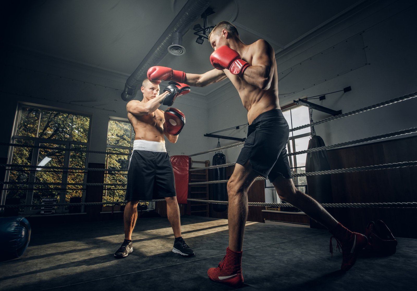 Two sportive men have a boxing competition on the ring